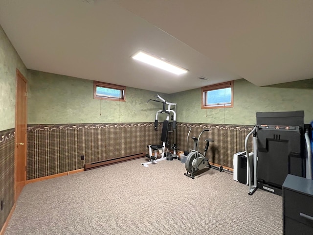 1715 Hansen Dr SW, Willmar, MN 56201 - workout room with carpet floors and wainscoting