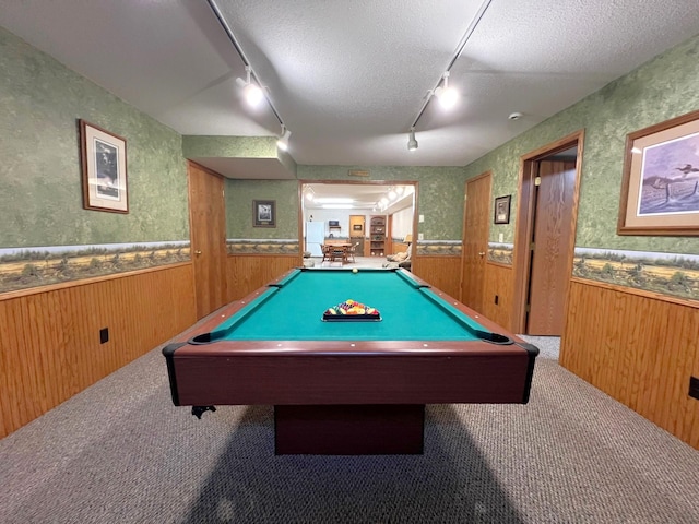 1715 Hansen Dr SW, Willmar, MN 56201 - rec room with track lighting, wainscoting, wooden walls, carpet flooring, and billiards table