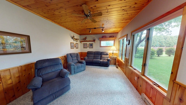 1715 Hansen Dr SW, Willmar, MN 56201 - living area featuring wood ceiling, track lighting, carpet flooring, wainscoting, and wood walls