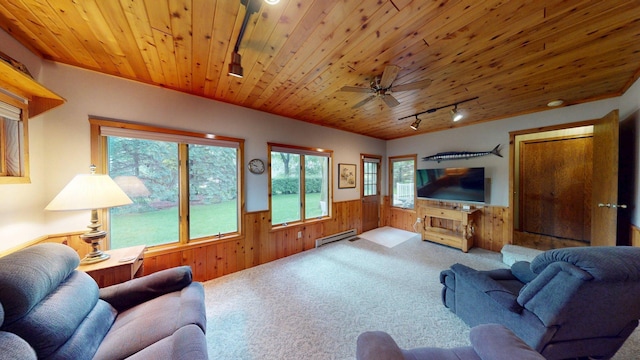 1715 Hansen Dr SW, Willmar, MN 56201 - living area with wainscoting, carpet, track lighting, wood walls, and wooden ceiling