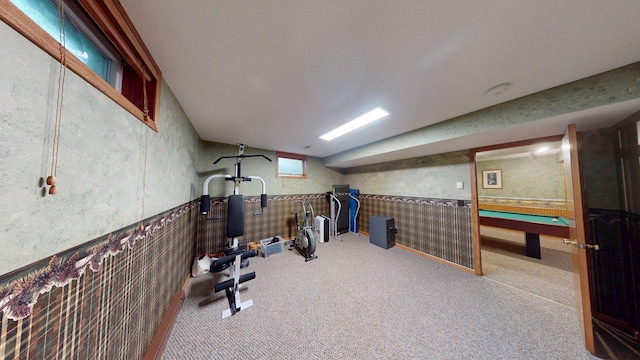1715 Hansen Dr SW, Willmar, MN 56201 - exercise area featuring wallpapered walls, wainscoting, and carpet