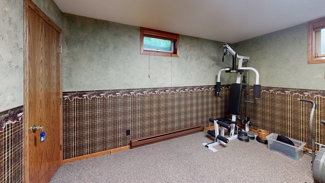 1715 Hansen Dr SW, Willmar, MN 56201 - workout room with a baseboard heating unit, wainscoting, plenty of natural light, and carpet flooring