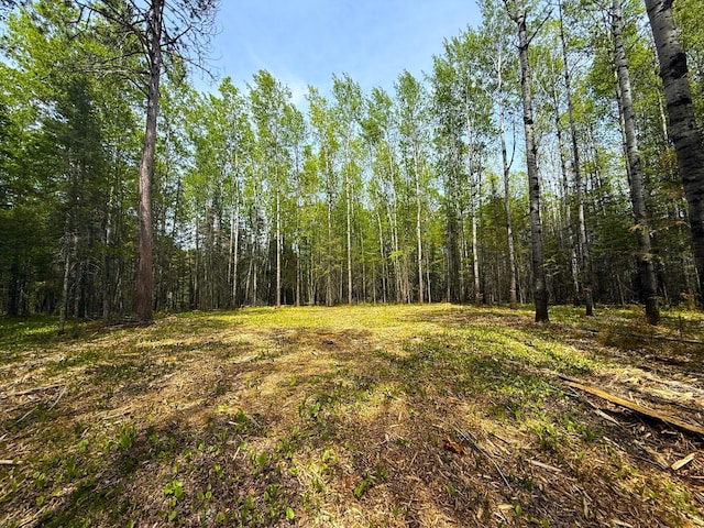 72XX E Central Lakes Rd, Lot H, Eveleth, MN 55734 - photo 2