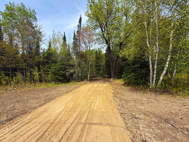 72XX E Central Lakes Rd, Lot H, Eveleth, MN 55734 - photo 6
