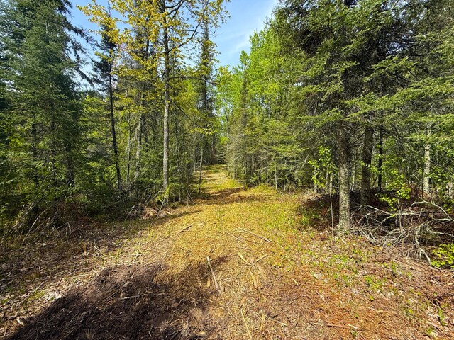 72XX E Central Lakes Rd, Lot H, Eveleth, MN 55734 - photo 7