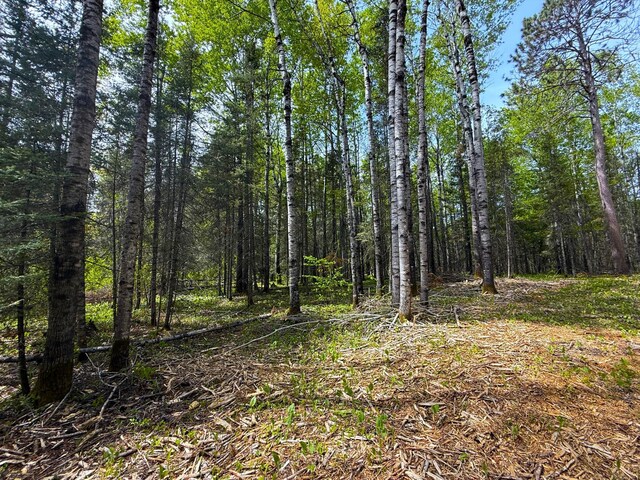 72XX E Central Lakes Rd, Lot H, Eveleth, MN 55734 - photo 8