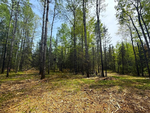 72XX E Central Lakes Rd, Lot H, Eveleth, MN 55734 - photo 9