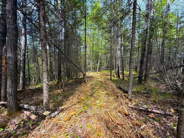 72XX E Central Lakes Rd, Lot H, Eveleth, MN 55734 - photo 11
