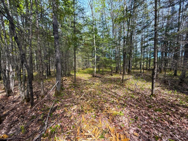 72XX E Central Lakes Rd, Lot H, Eveleth, MN 55734 - photo 13