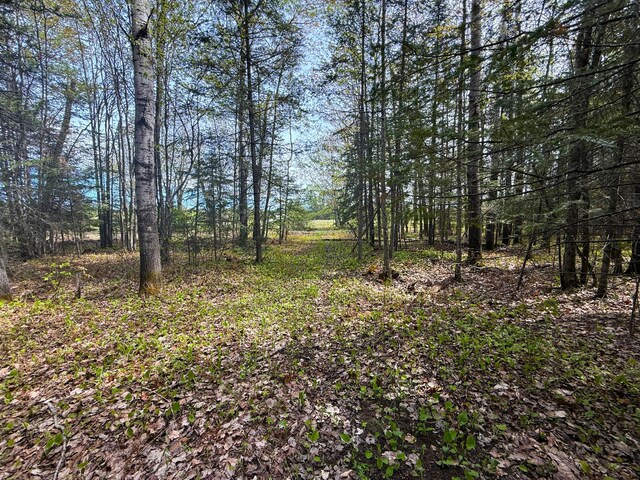 72XX E Central Lakes Rd, Lot H, Eveleth, MN 55734 - photo 14