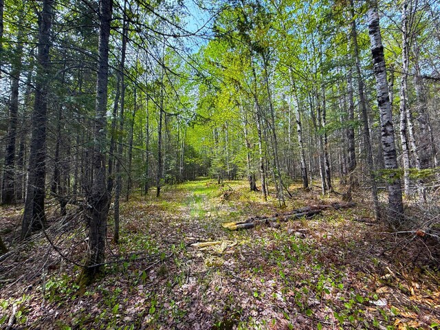 72XX E Central Lakes Rd, Lot H, Eveleth, MN 55734 - photo 15