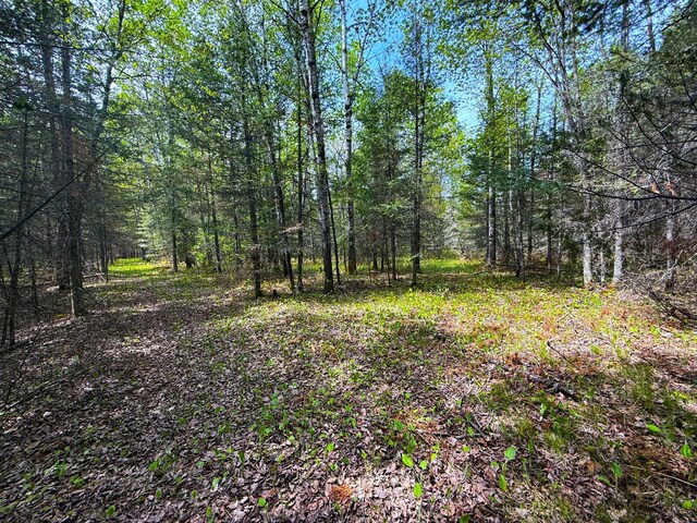 72XX E Central Lakes Rd, Lot H, Eveleth, MN 55734 - photo 16