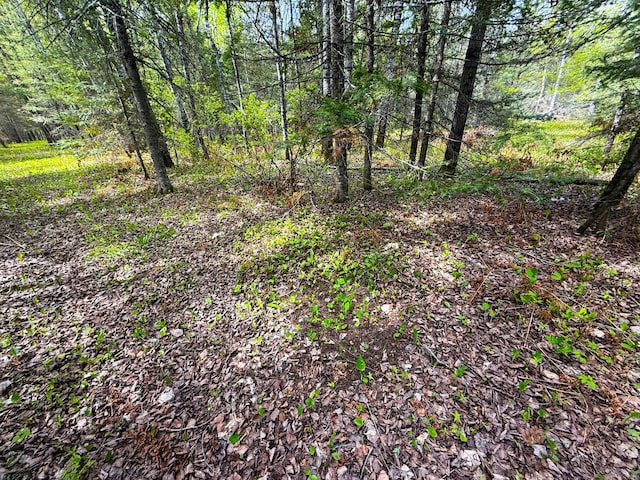 72XX E Central Lakes Rd, Lot H, Eveleth, MN 55734 - photo 17