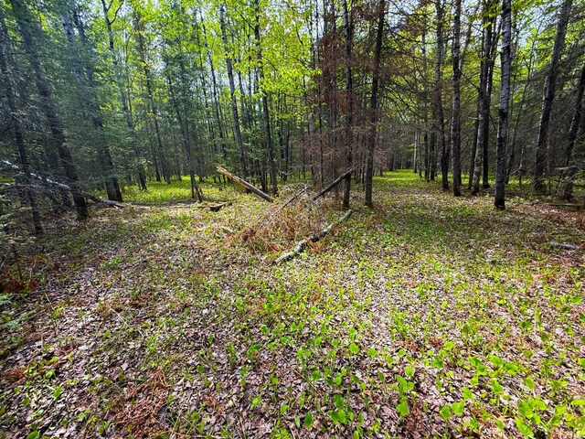 72XX E Central Lakes Rd, Lot H, Eveleth, MN 55734 - photo 18
