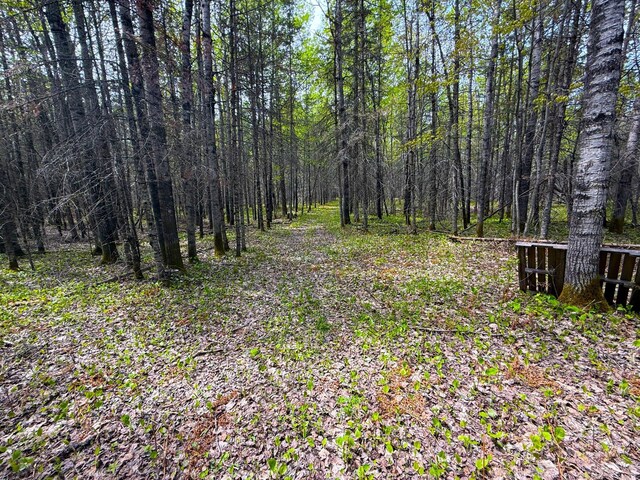 72XX E Central Lakes Rd, Lot H, Eveleth, MN 55734 - photo 19