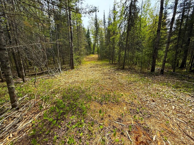 72XX E Central Lakes Rd, Lot H, Eveleth, MN 55734 - photo 21
