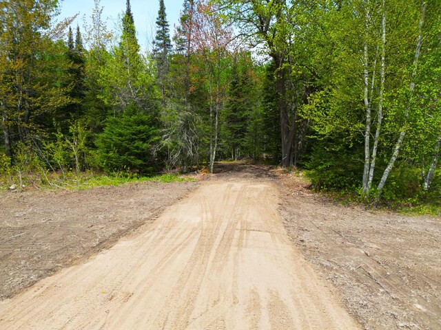 72XX E Central Lakes Rd, Lot H, Eveleth, MN 55734 - photo 22