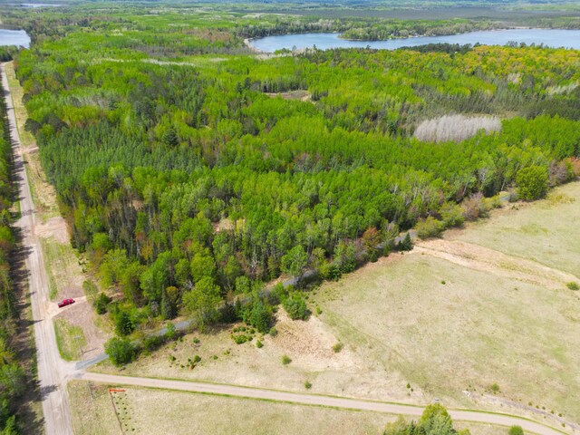 72XX E Central Lakes Rd, Lot H, Eveleth, MN 55734 - photo 24