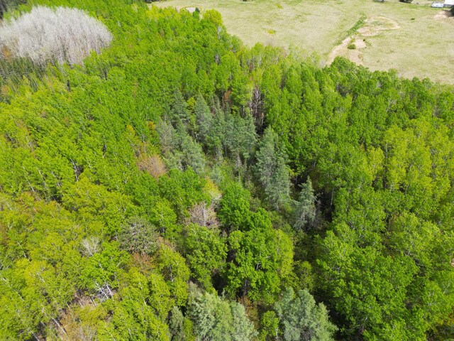 72XX E Central Lakes Rd, Lot H, Eveleth, MN 55734 - photo 27