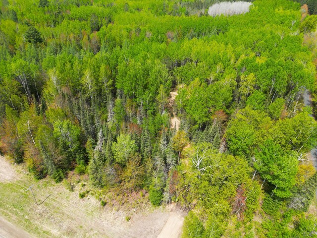 72XX E Central Lakes Rd, Lot H, Eveleth, MN 55734 - photo 29