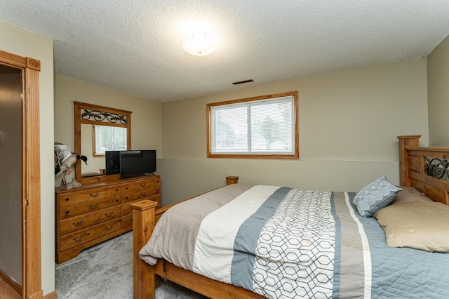 222 6th Ave NW, Byron, MN 55920 - bedroom with carpet and a textured ceiling