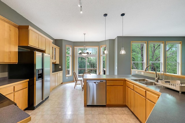 22669 128th Ave N, Rogers, MN 55374 - kitchen featuring appliances with stainless steel finishes, a chandelier, a sink, healthy amount of natural light, and a textured ceiling