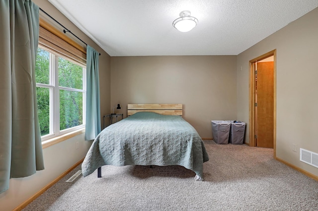 22669 128th Ave N, Rogers, MN 55374 - bedroom featuring multiple windows, carpet floors, baseboards, and a textured ceiling