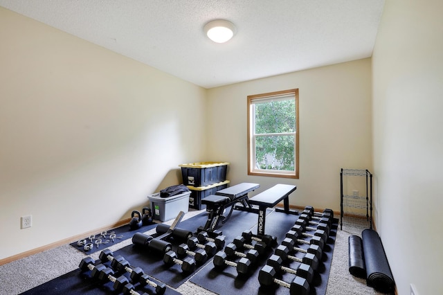 22669 128th Ave N, Rogers, MN 55374 - exercise room featuring baseboards and carpet