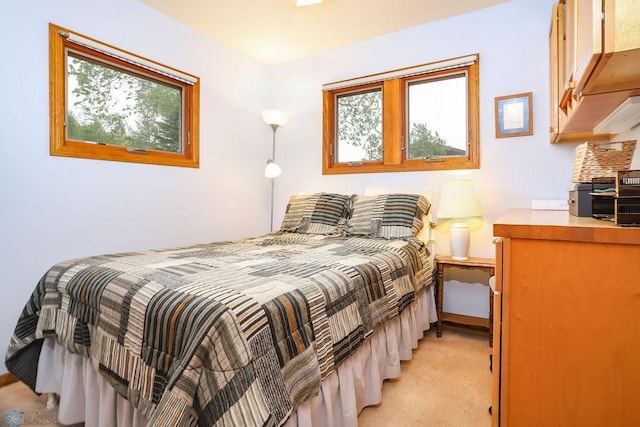 38682 Walker Lake Dr, Amor Twp, MN 56576 - bedroom with light carpet