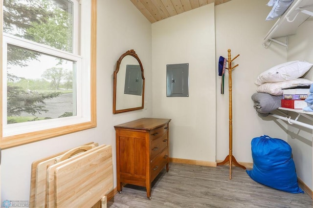 38682 Walker Lake Dr, Amor Twp, MN 56576 - spacious closet featuring electric panel, light wood finished floors, and vaulted ceiling