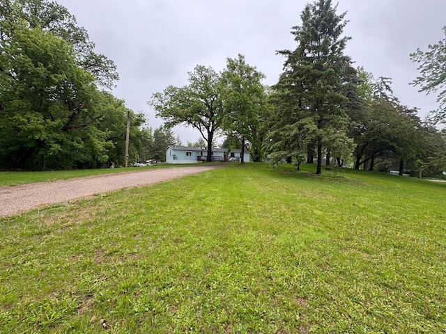 57230 351st St, Grove City, MN 56243 - view of green lawn with driveway