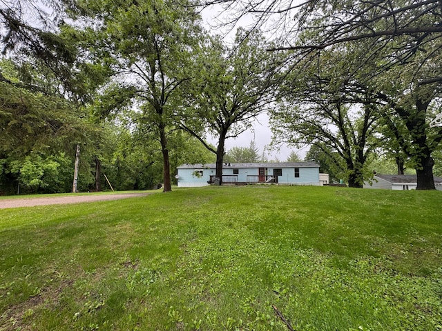 57230 351st St, Grove City, MN 56243 - view of green lawn
