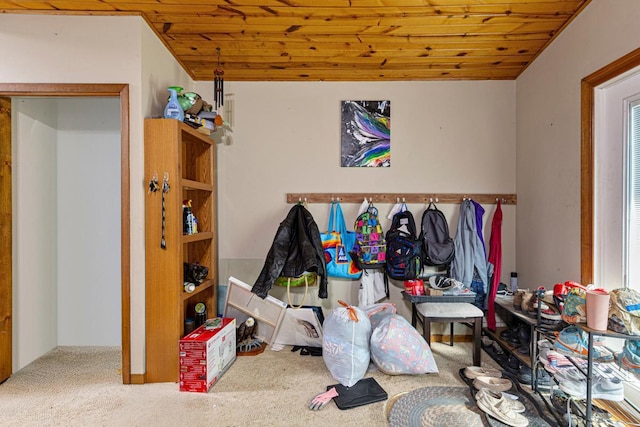 410 Spruce Ave NW, Montgomery, MN 56069 - carpeted bedroom featuring wood ceiling
