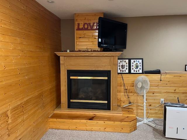 42626 County Highway 125, Perham Twp, MN 56573 - detailed view of wooden walls, carpet flooring, and a glass covered fireplace