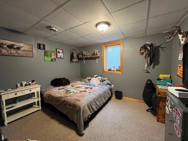 42626 County Highway 125, Perham Twp, MN 56573 - bedroom with a drop ceiling and carpet floors