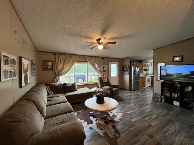 42626 County Highway 125, Perham Twp, MN 56573 - living room with a textured ceiling, dark wood finished floors, and a ceiling fan