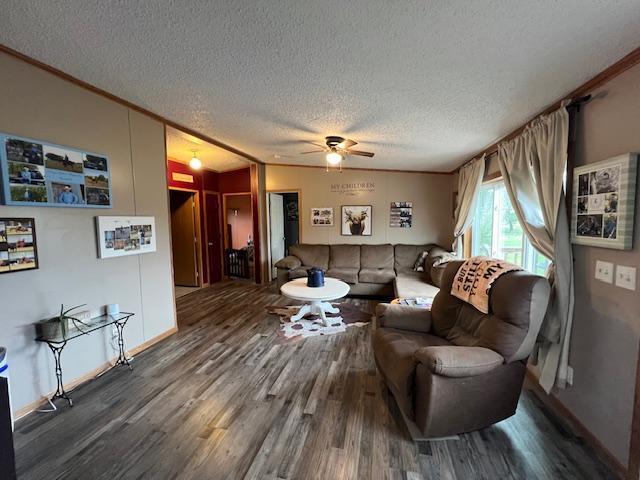 42626 County Highway 125, Perham Twp, MN 56573 - living room with a textured ceiling, wood finished floors, a ceiling fan, crown molding, and baseboards