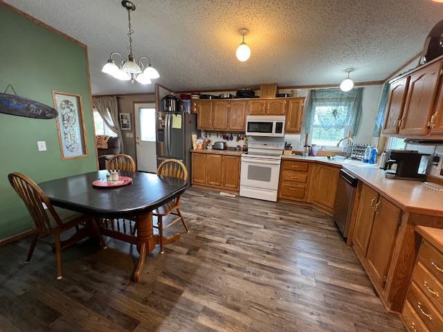 42626 County Highway 125, Perham Twp, MN 56573 - kitchen with stainless steel appliances, a textured ceiling, plenty of natural light, dark wood-style flooring, and a chandelier