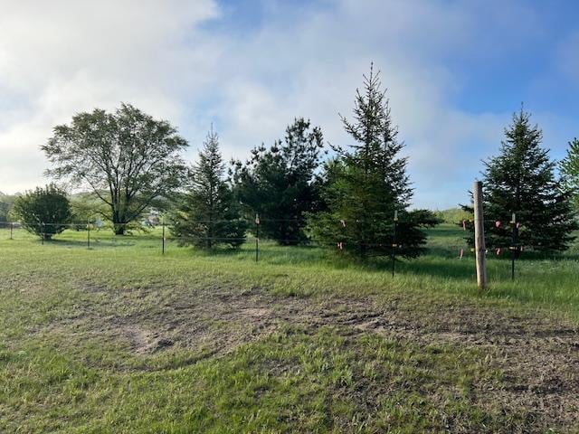 42626 County Highway 125, Perham Twp, MN 56573 - view of yard