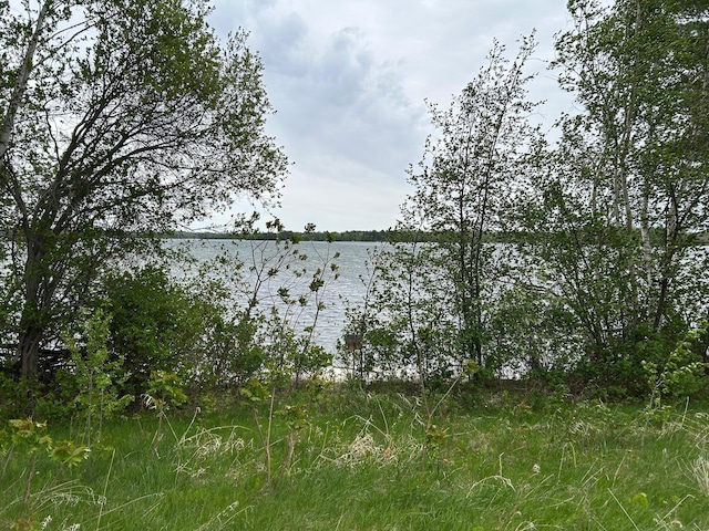 3571 Red Maple Rd NW, Hiram Twp, MN 56433 - water view