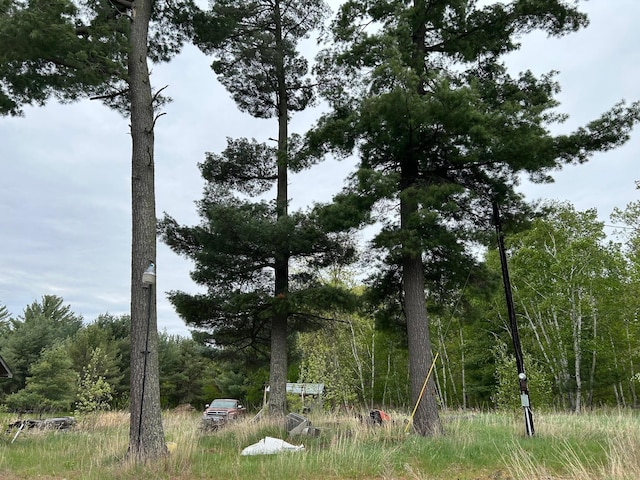 3571 Red Maple Rd NW, Hiram Twp, MN 56433 - view of tree filled area