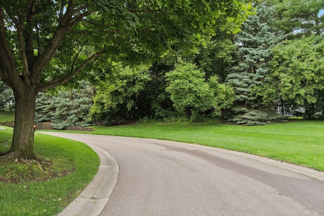 8733 Baxter Way Unit 47, Inver Grove Heights, MN 55076 - view of asphalt road featuring curbs