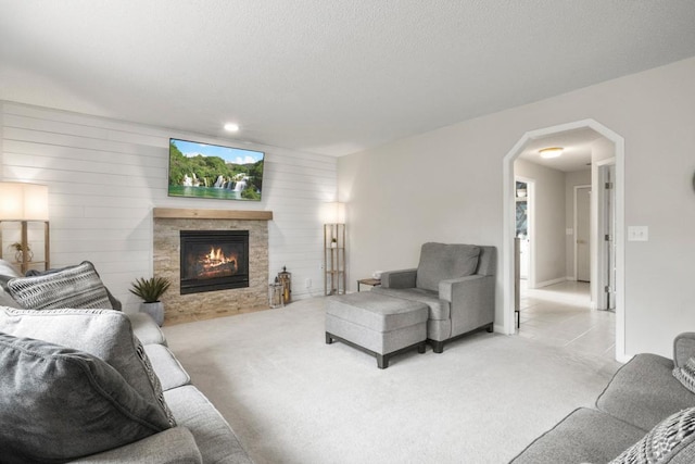 1279 146th Ln NW, Andover, MN 55304 - living room featuring arched walkways, light carpet, a glass covered fireplace, and wooden walls