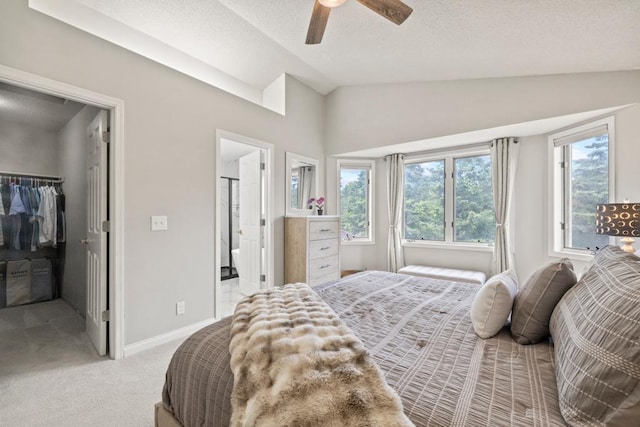 1279 146th Ln NW, Andover, MN 55304 - bedroom with lofted ceiling, a walk in closet, light carpet, baseboards, and a closet