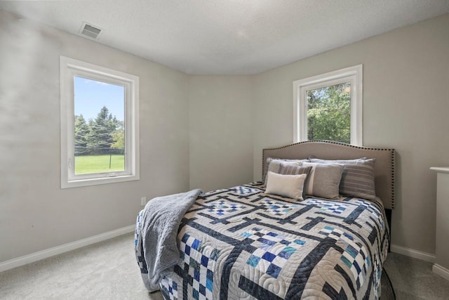 1279 146th Ln NW, Andover, MN 55304 - bedroom featuring carpet floors, baseboards, and a textured ceiling