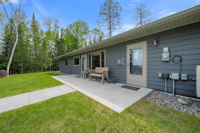 52852 Brush Shanty Lake Rd, Bigfork, MN 56628 - rear view of house featuring a yard and a patio