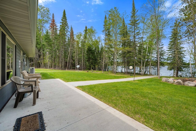 52852 Brush Shanty Lake Rd, Bigfork, MN 56628 - view of patio featuring a water view
