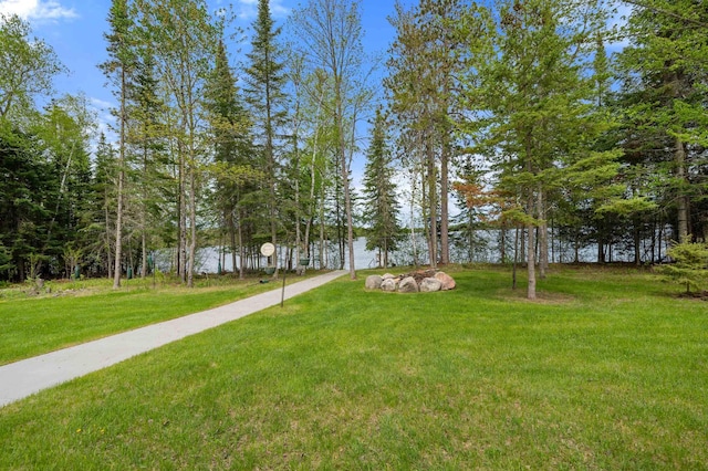 52852 Brush Shanty Lake Rd, Bigfork, MN 56628 - view of home's community featuring a yard and a water view