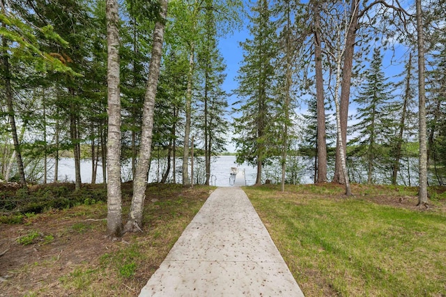 52852 Brush Shanty Lake Rd, Bigfork, MN 56628 - view of property's community with a water view