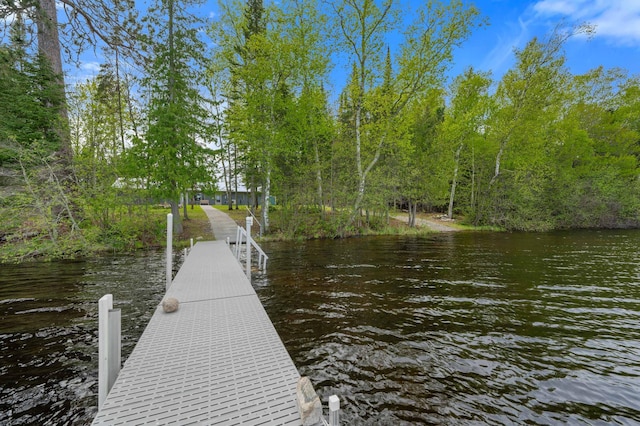 52852 Brush Shanty Lake Rd, Bigfork, MN 56628 - dock with a water view